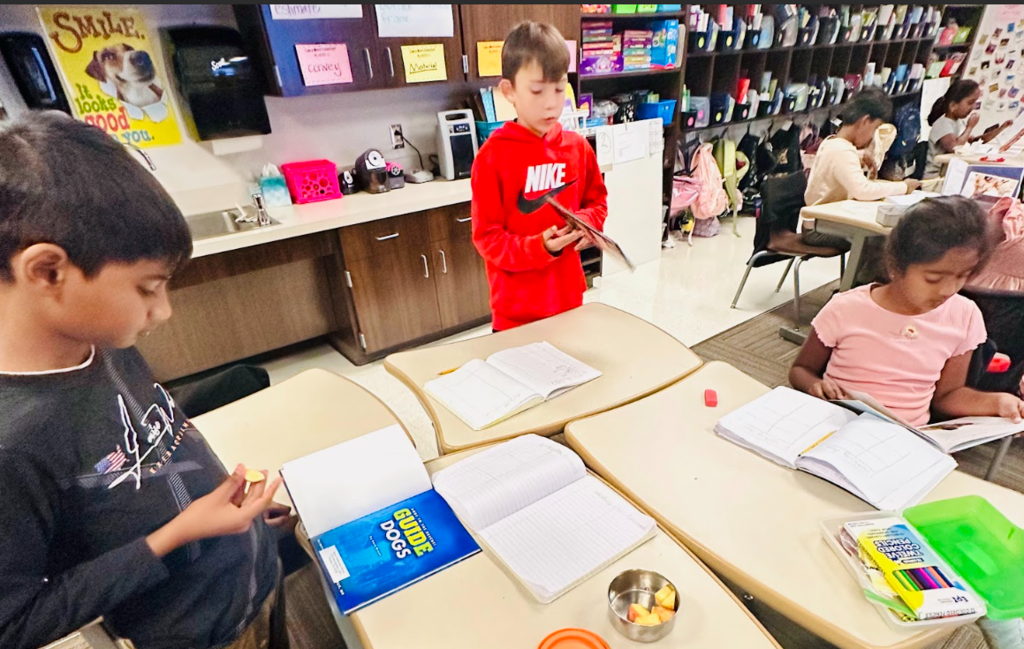 Third Grade Research