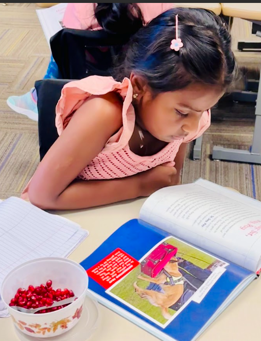 Third Grade Research