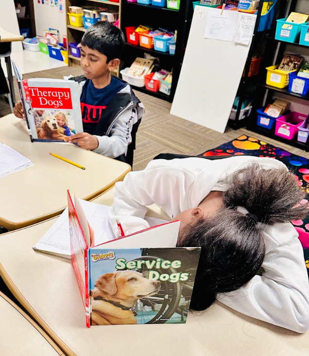 Third Grade Research