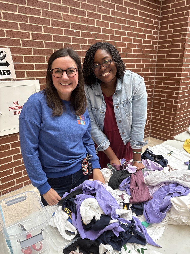 Staff helping organize cat toys