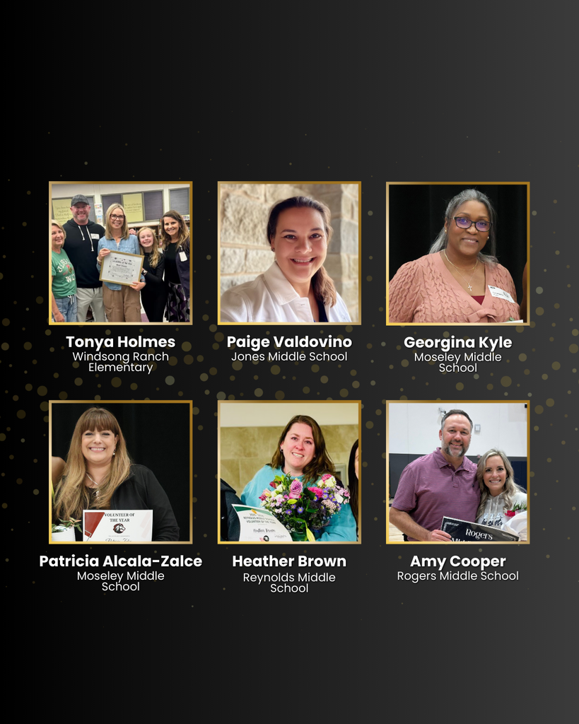 Volunteer of the Year