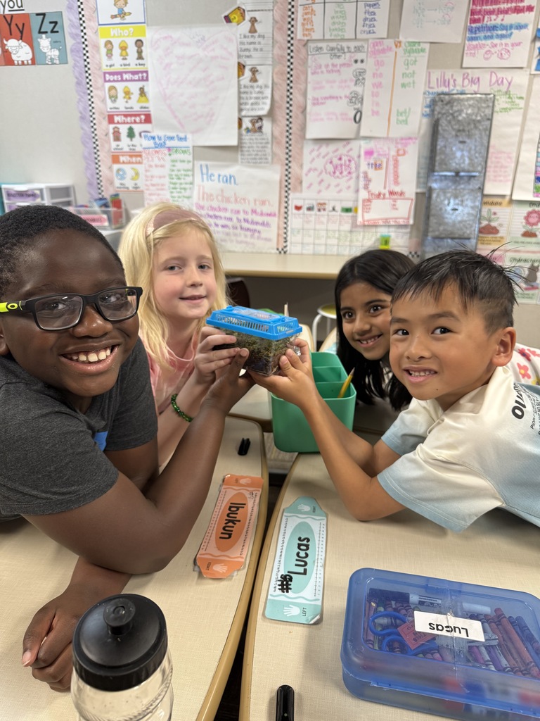 First Grade Terrariums 