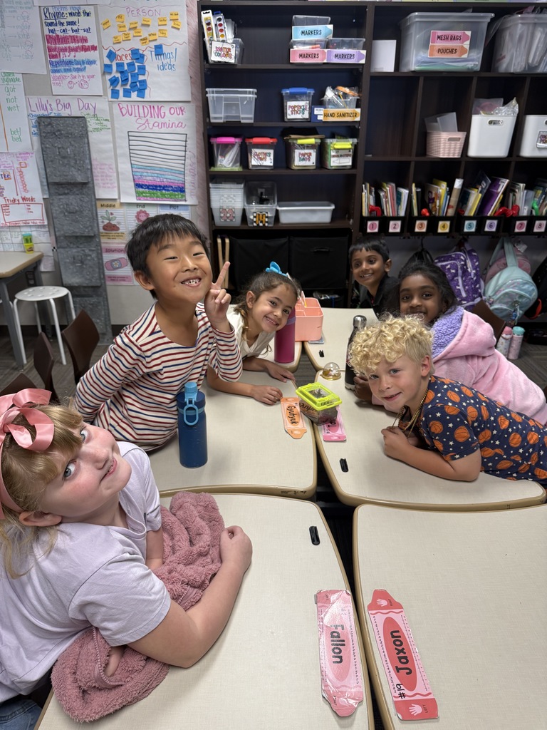 First Grade Terrariums 