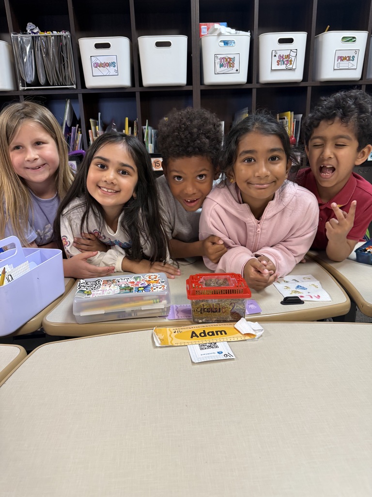 First Grade Terrariums 