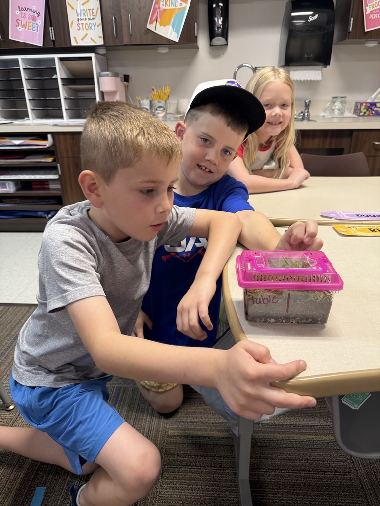 First Grade Terrariums 