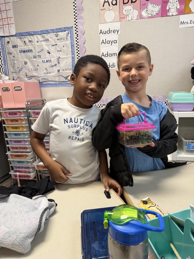 First Grade Terrariums 