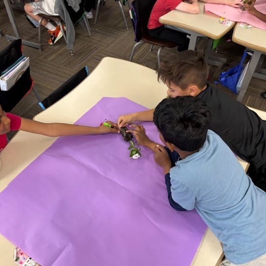 Second Grade Science