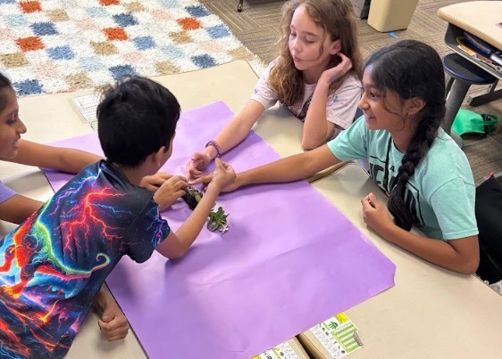 Second Grade Science