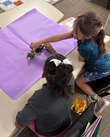 Second Grade Science