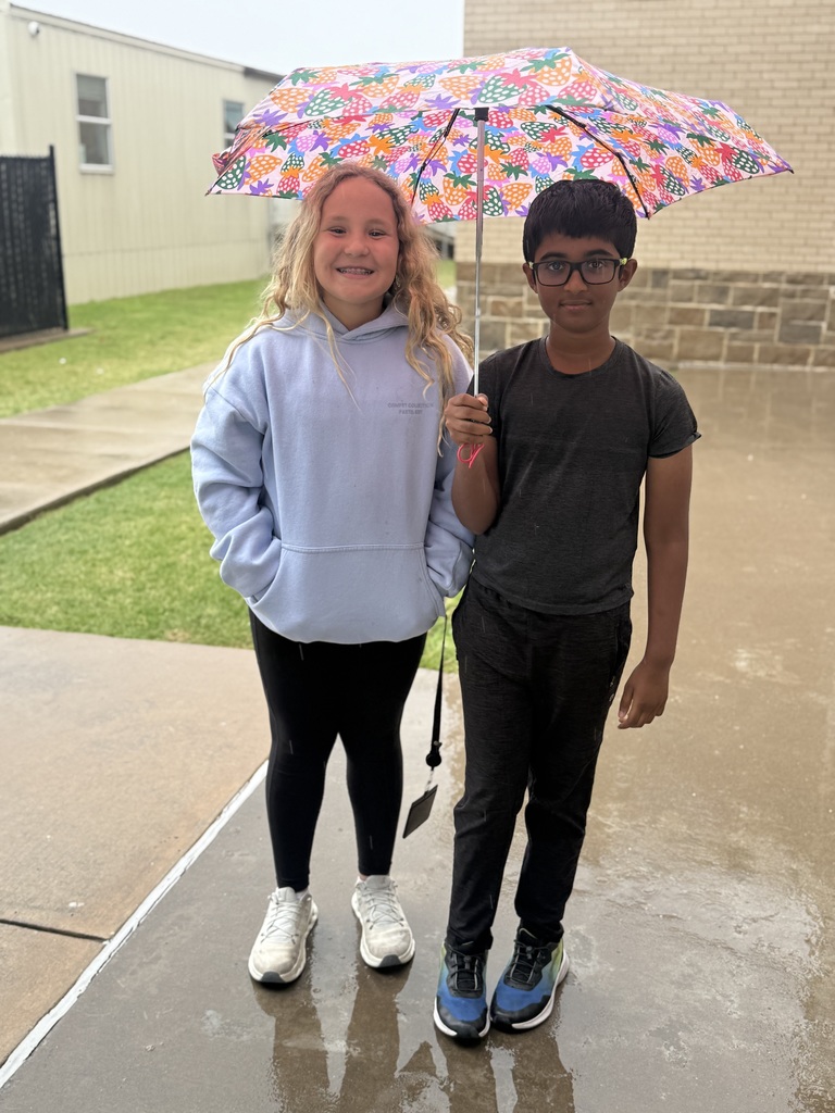 Rainy Day