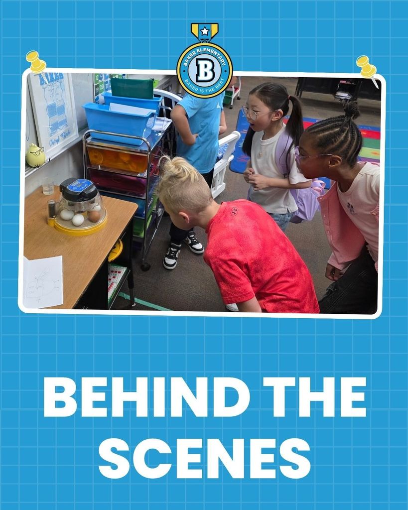 Baker Elementary 1st Grade Bird Life Cycles