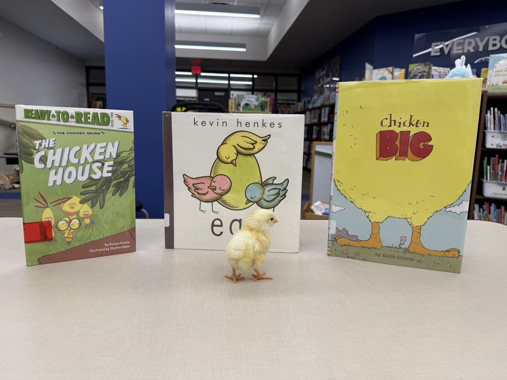 Chick in the library