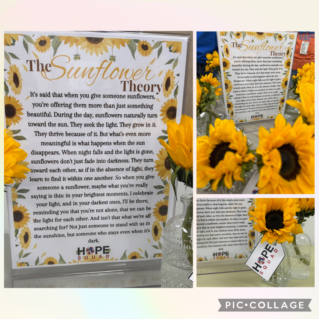 sunflower