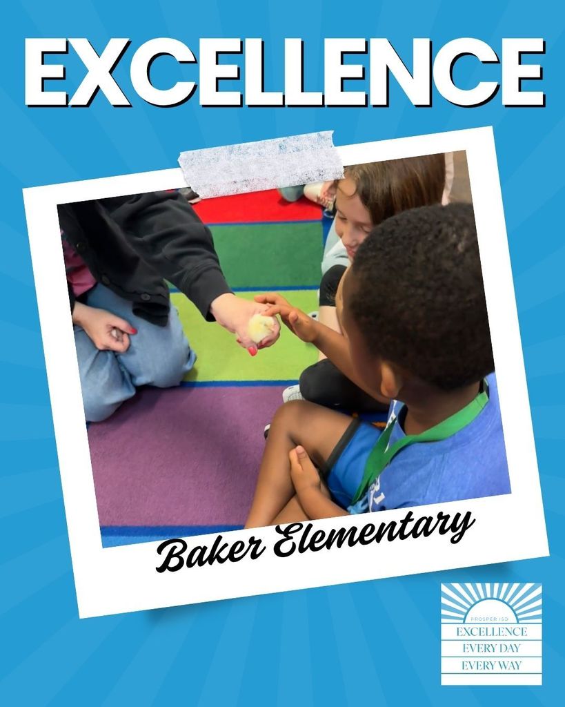 Baker Kindergarten Petting a New Baby Chic