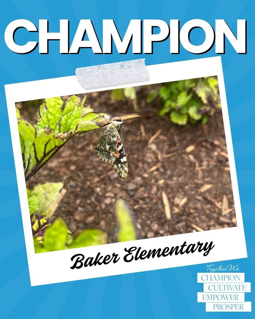 Baker Elementary Butterfly Garden