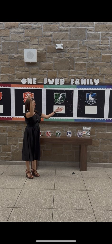 new teachers