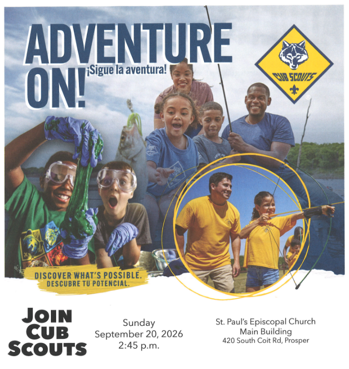 Cub Scouts 716