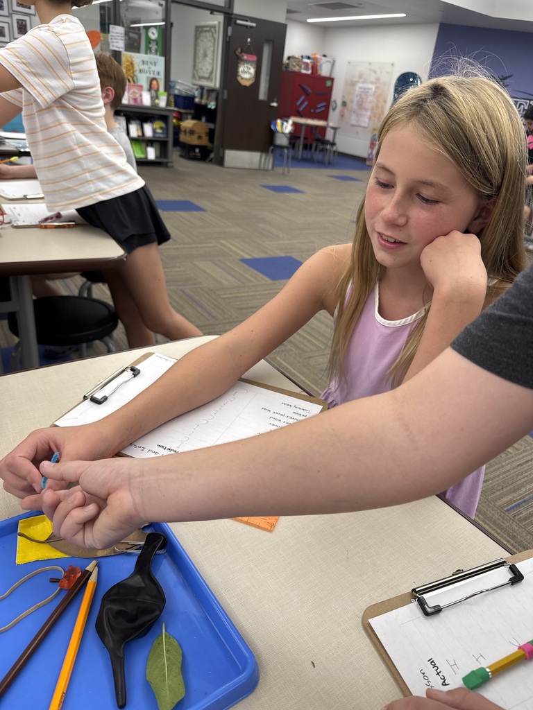 Fifth Grade Circuits