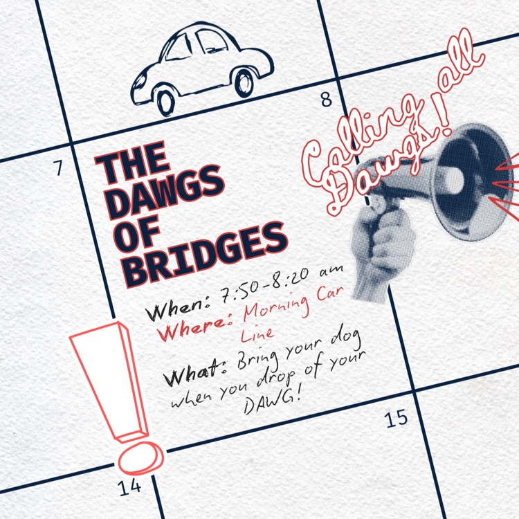 Dawgs of Bridges