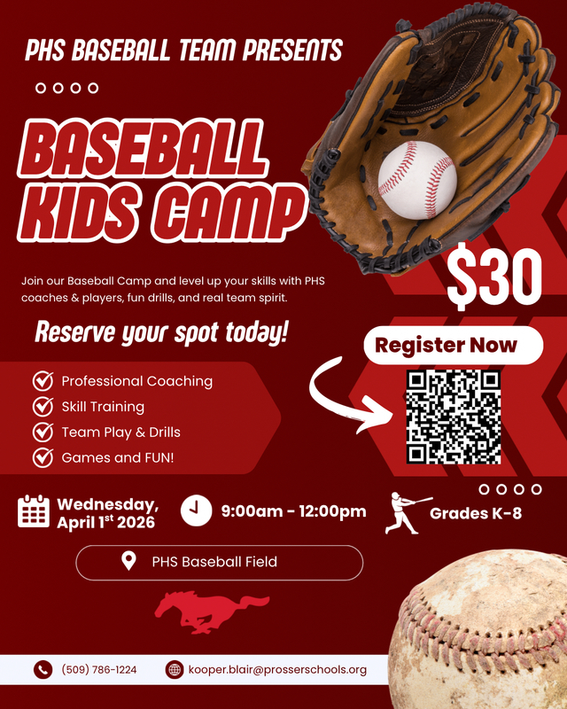 Baseball Camp K-8