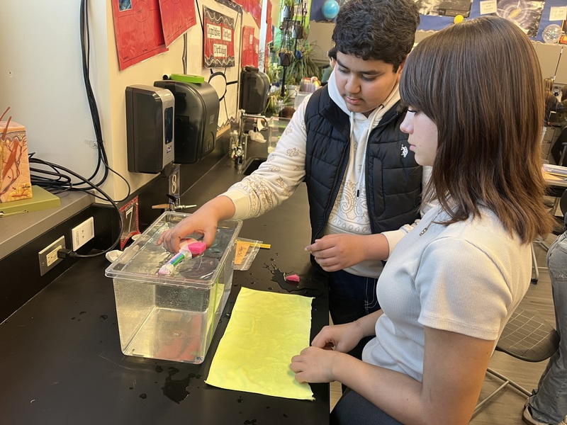 8th Grade Competitors