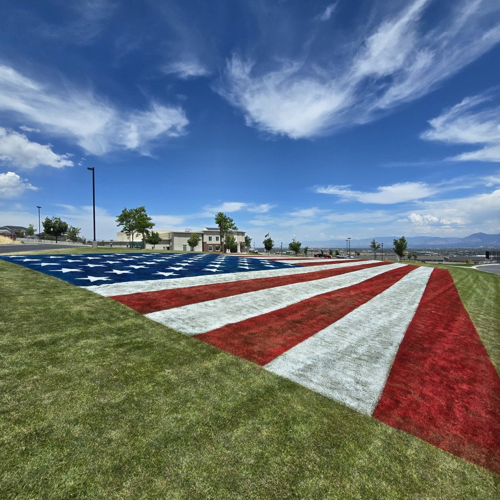 flag 2