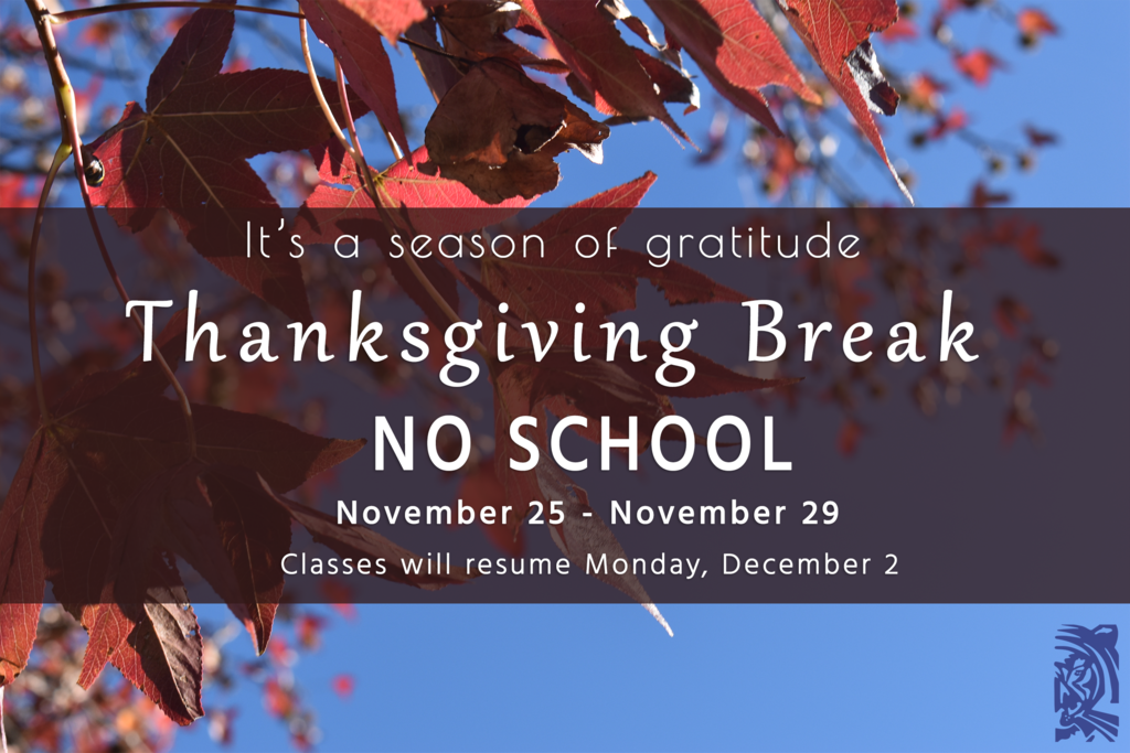 Thanksgiving break