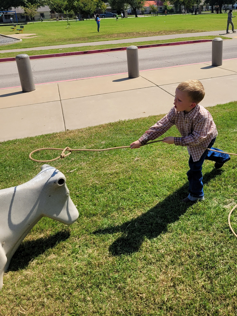 roping 