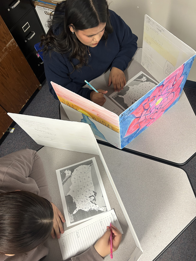 two students quizzing