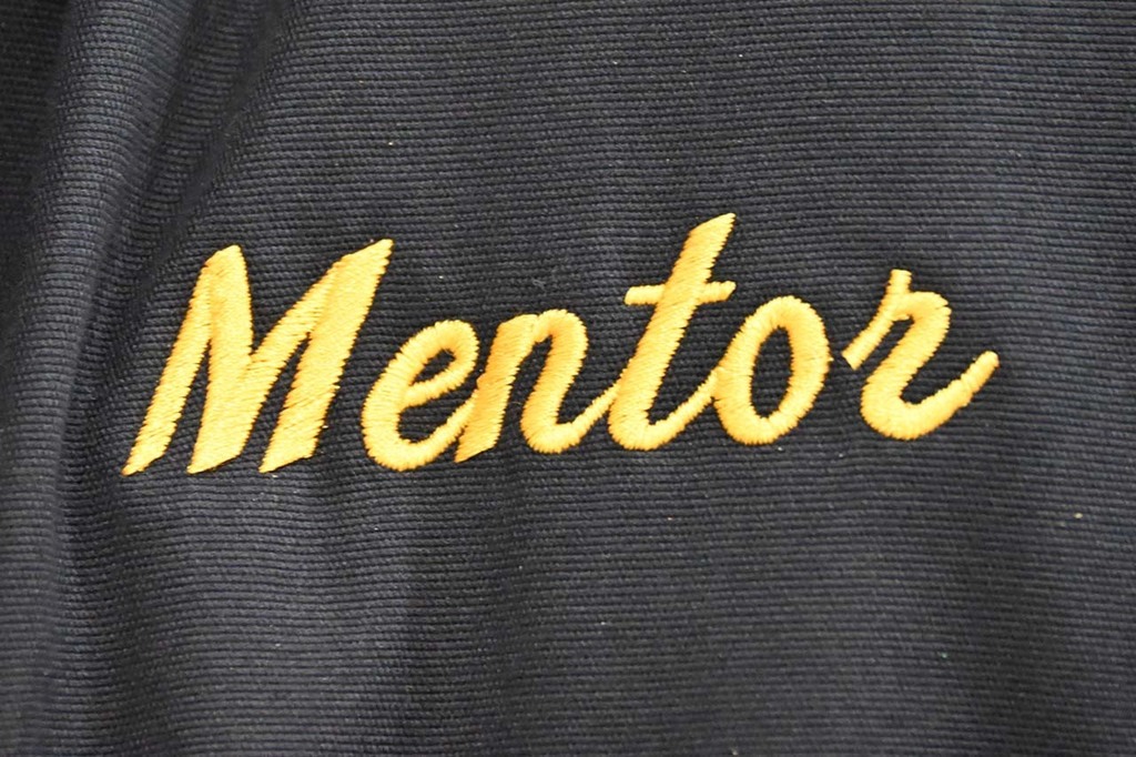 the word mentor