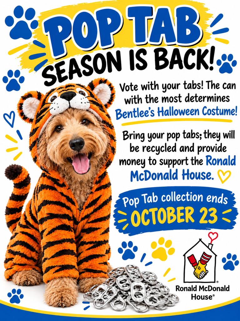pop tart season graphic