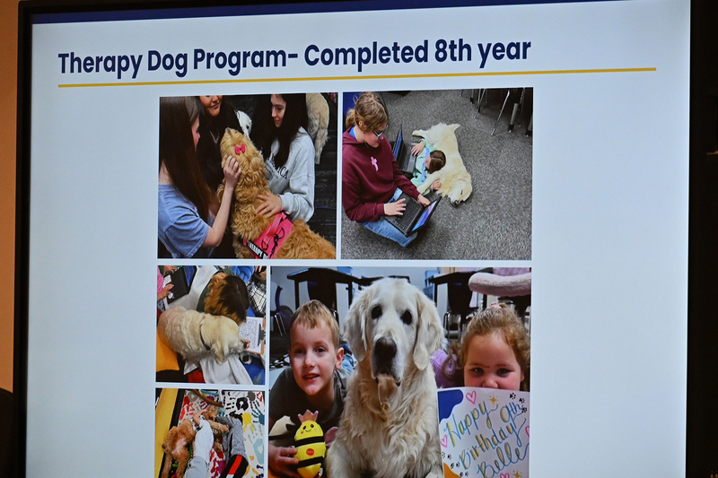 therapy dogs