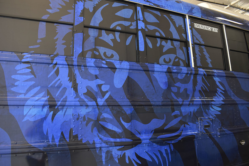 blue tiger face