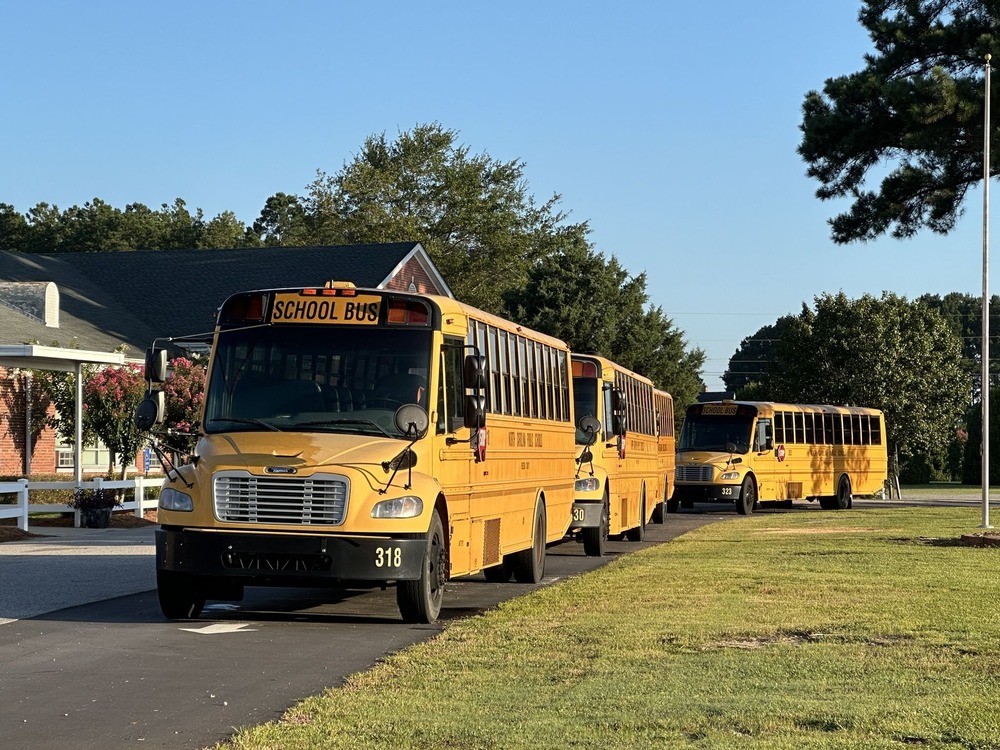 buses