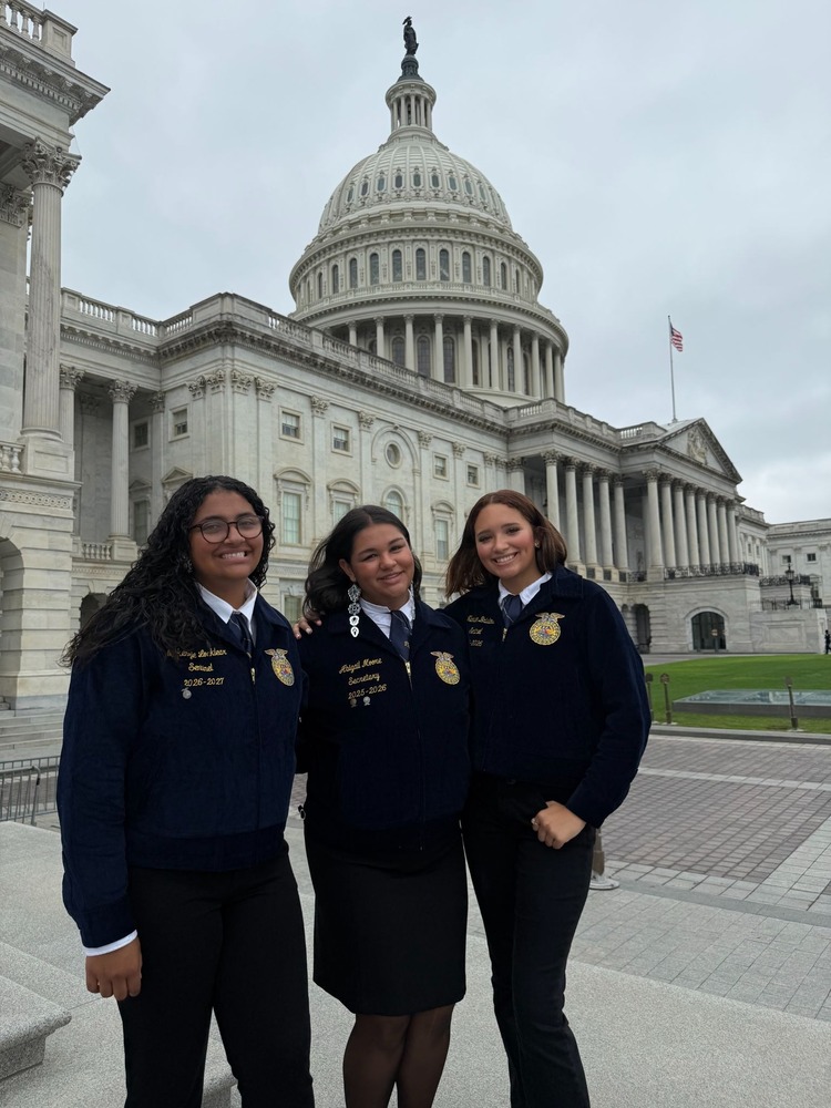 PSHS FFA