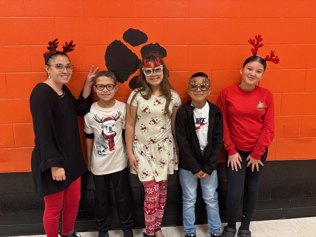 Reindeer