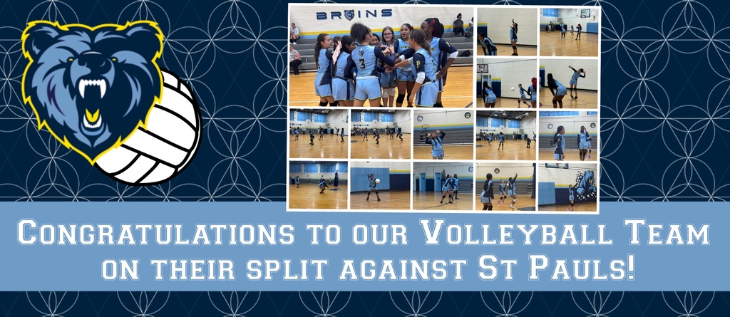 Volleyball vs St Pauls