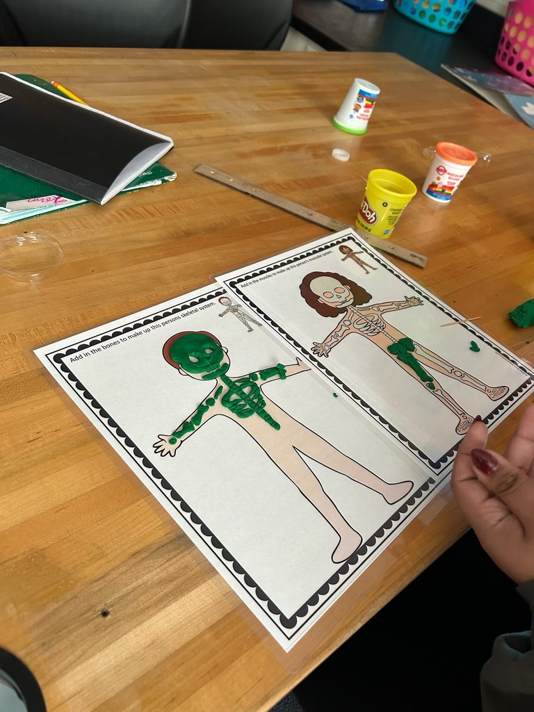 7th grade Science activity