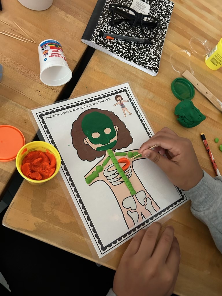 7th grade Science activity