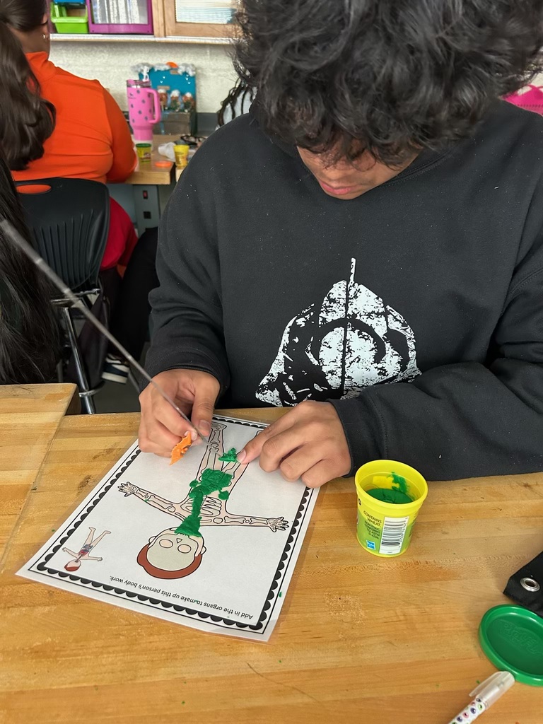 7th grade Science activity