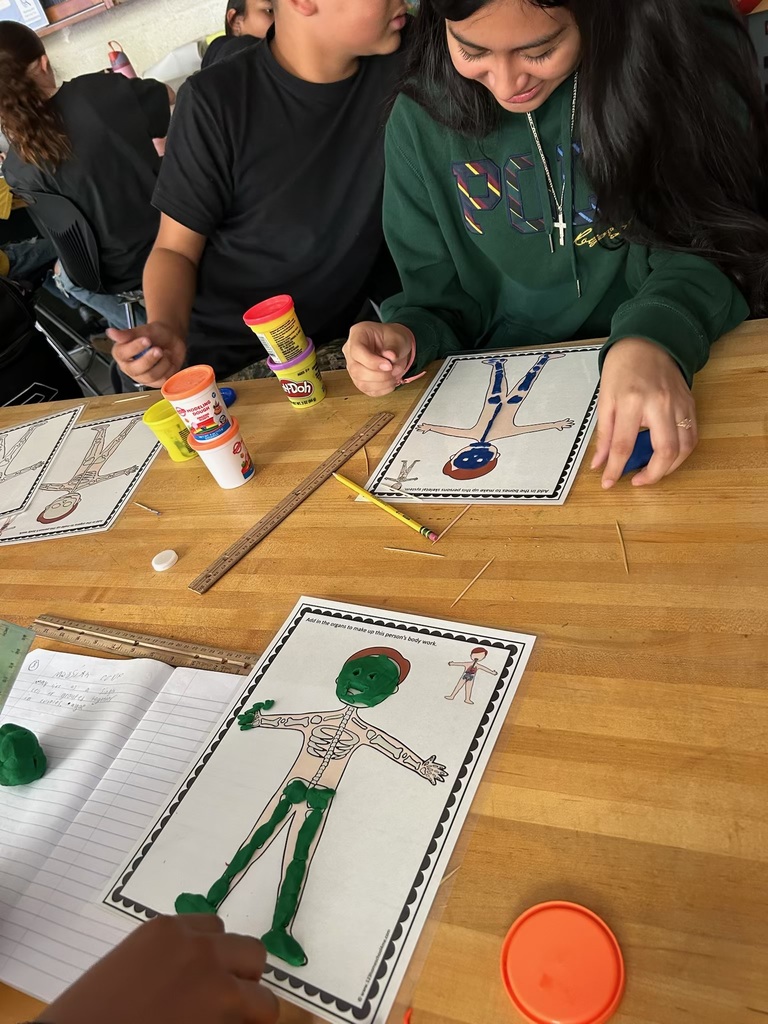 7th grade Science activity