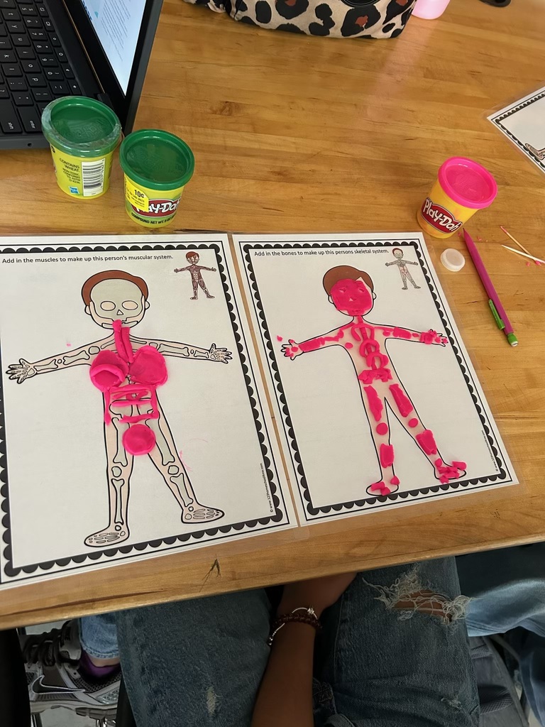 7th grade Science activity