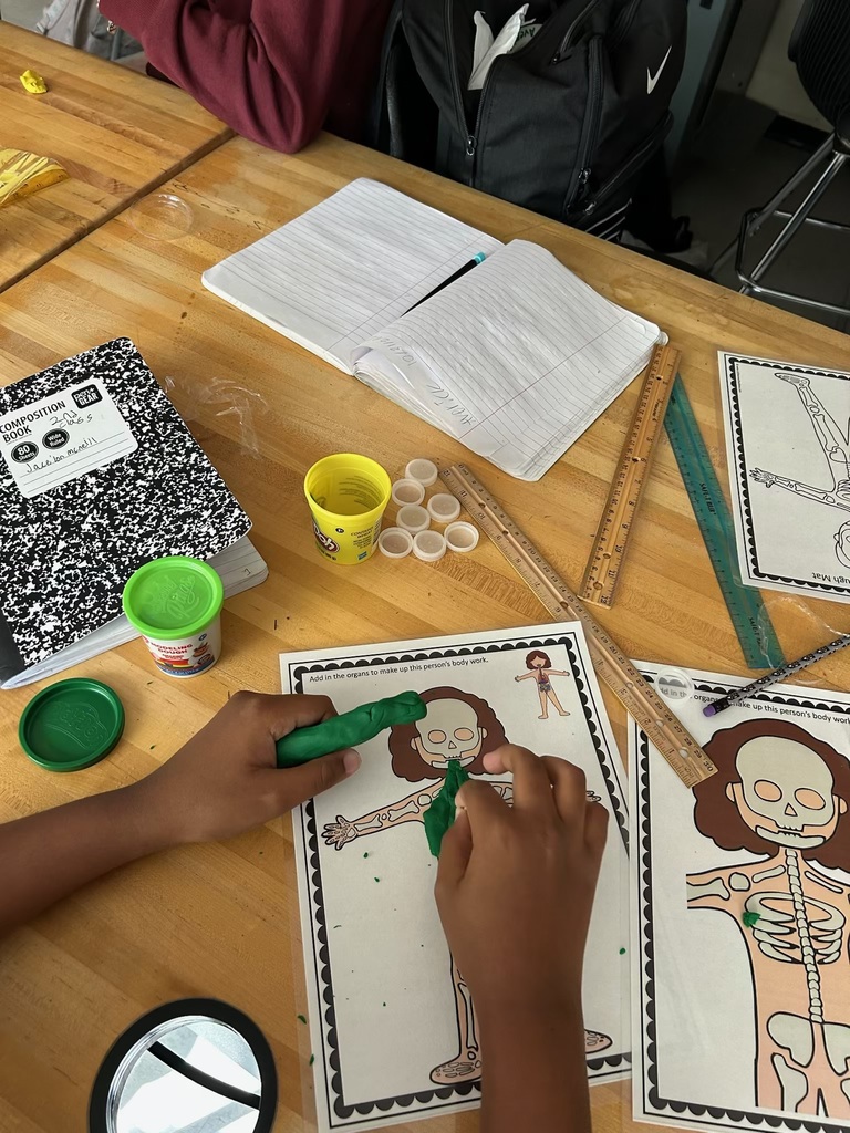 7th grade Science activity