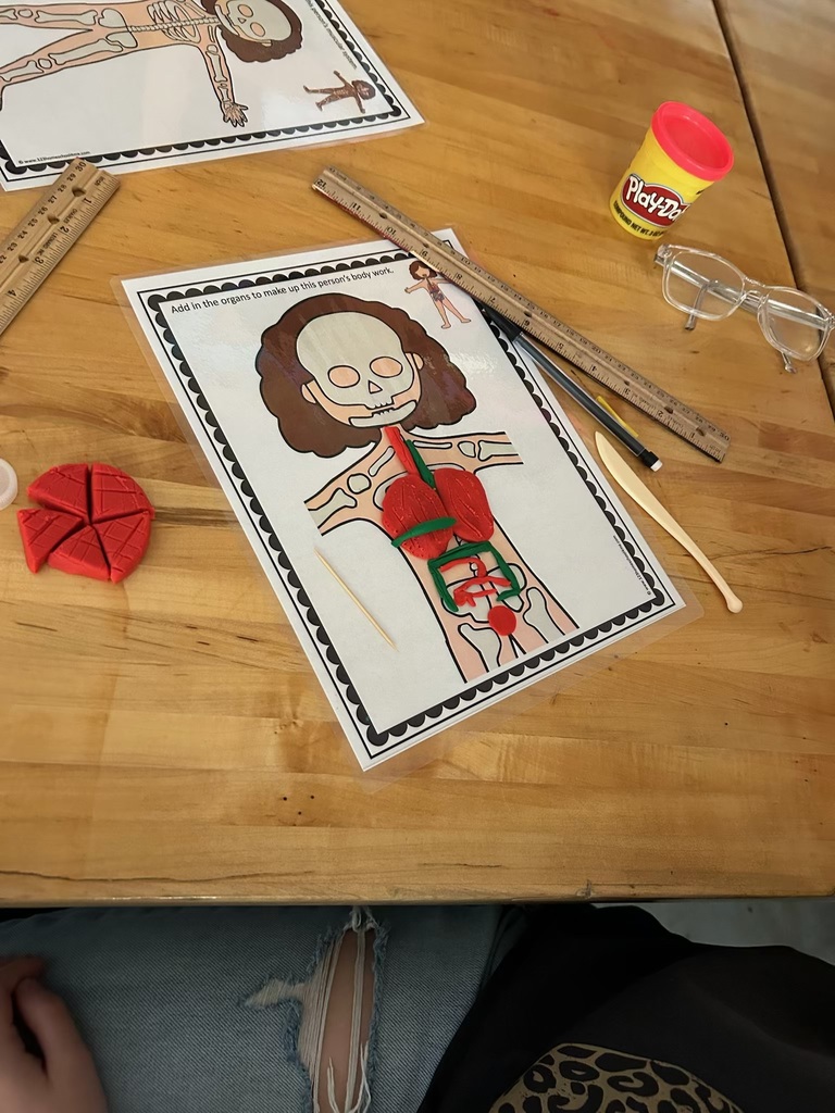 7th grade Science activity