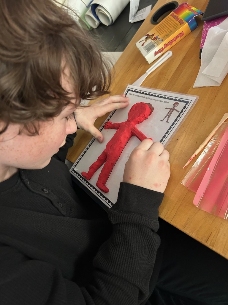 7th grade Science activity