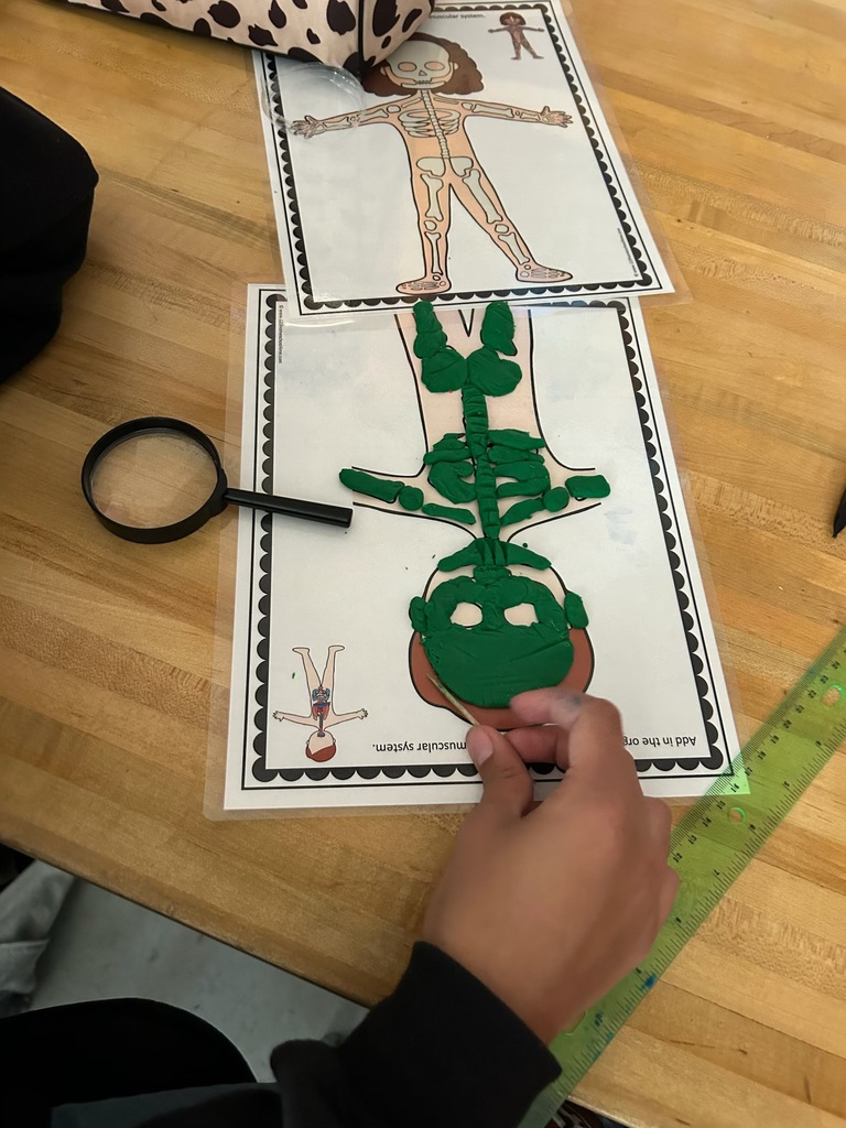 7th grade Science activity