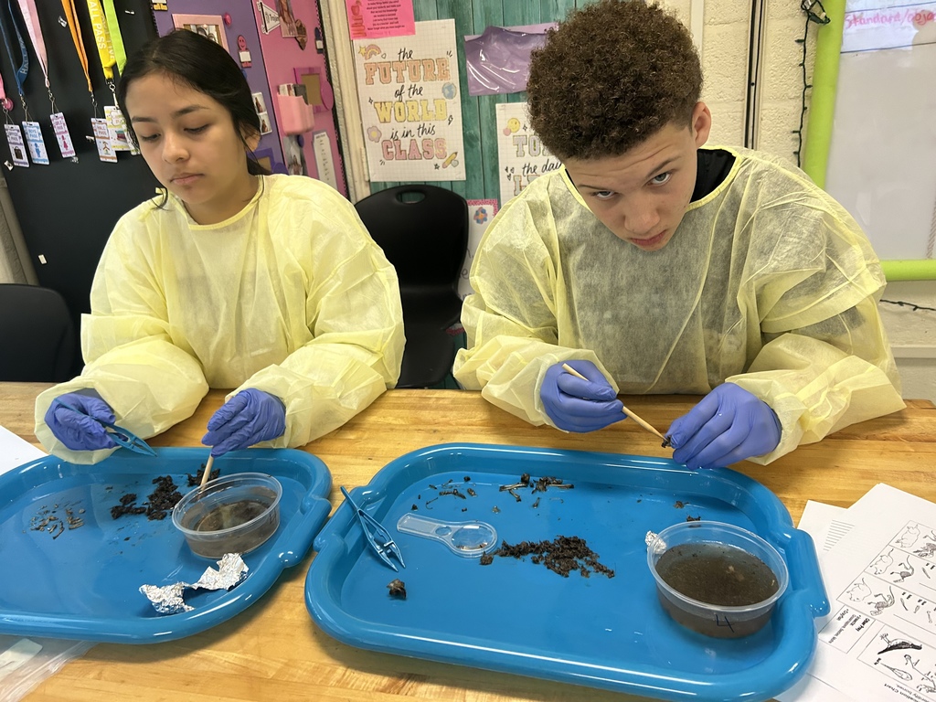 Owl Dissection