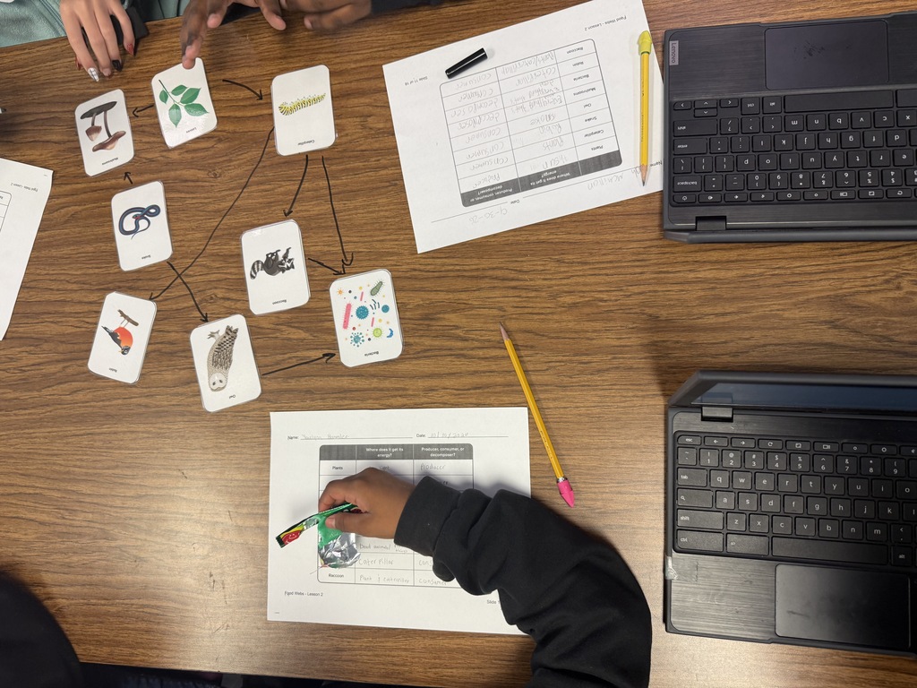 Here’s an alt text that can work for the entire group of photos: **Alt text:** Fifth grade students work collaboratively in small groups to create food webs during a hands-on science activity. Students arrange picture cards of plants, animals, fungi, and bacteria on their tables and draw arrows to show feeding relationships and the flow of energy through an ecosystem. Students also complete worksheets identifying producers, consumers, and decomposers.