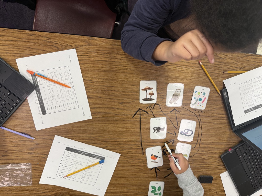 Here’s an alt text that can work for the entire group of photos: **Alt text:** Fifth grade students work collaboratively in small groups to create food webs during a hands-on science activity. Students arrange picture cards of plants, animals, fungi, and bacteria on their tables and draw arrows to show feeding relationships and the flow of energy through an ecosystem. Students also complete worksheets identifying producers, consumers, and decomposers.