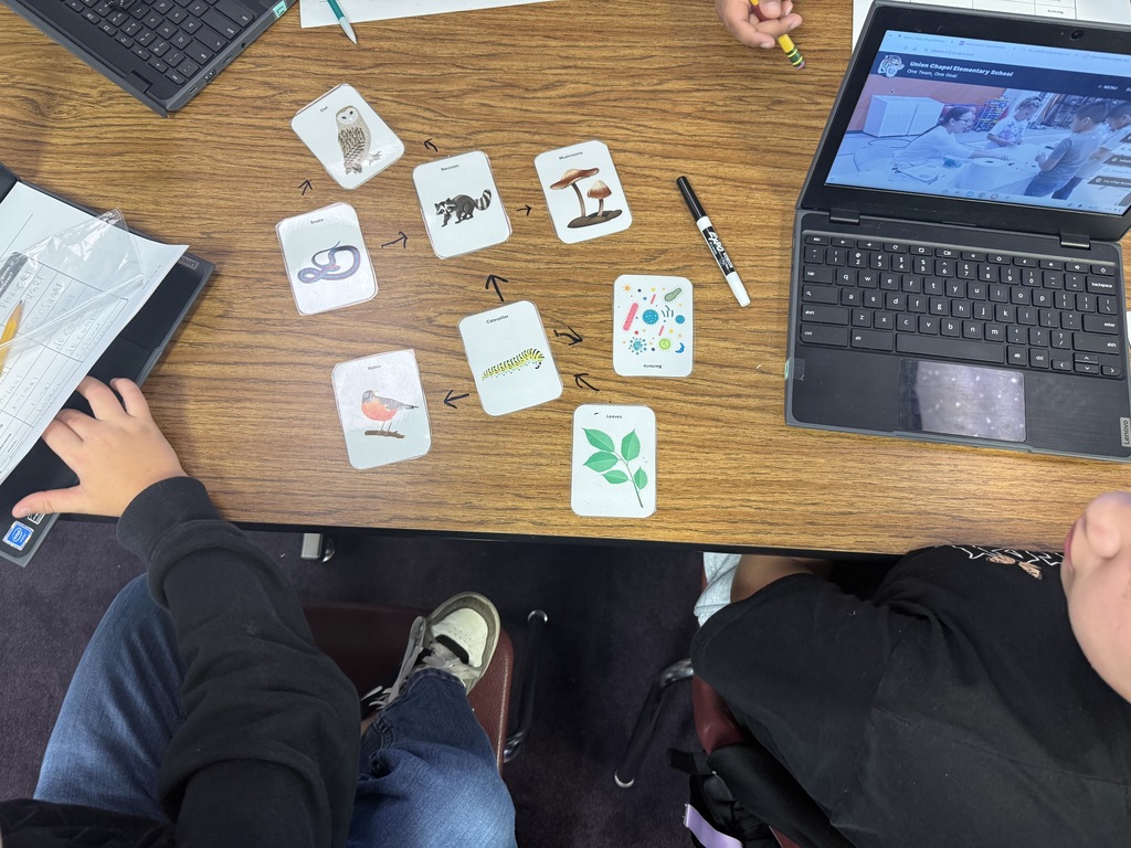 Here’s an alt text that can work for the entire group of photos: **Alt text:** Fifth grade students work collaboratively in small groups to create food webs during a hands-on science activity. Students arrange picture cards of plants, animals, fungi, and bacteria on their tables and draw arrows to show feeding relationships and the flow of energy through an ecosystem. Students also complete worksheets identifying producers, consumers, and decomposers.